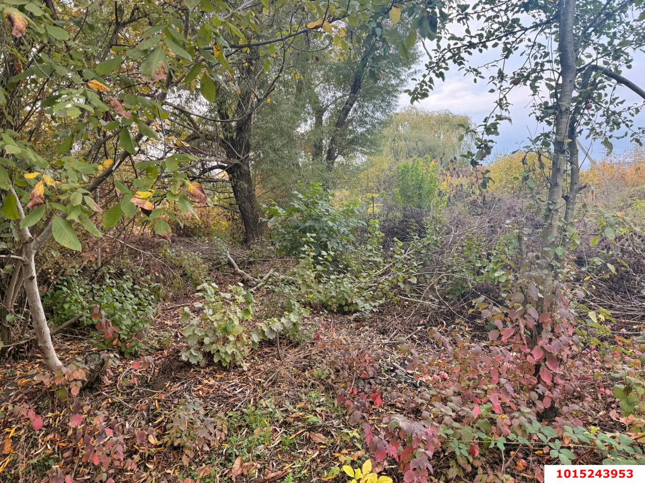 Фото №4: Участок садоводство 6 сот. - Елизаветинская, Кубань-2, ул. Ореховая, 21