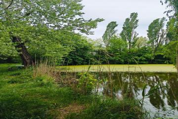 Фото №3: Земельный участок 15 сот. - Шенджий, ул. Фучика, 8