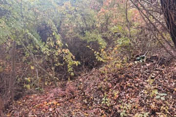 Фото №3: Участок садоводство 4 сот. - Елизаветинская, ст Кубань-2, ул. Ореховая, 23