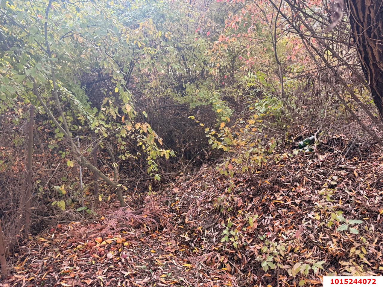 Фото №3: Участок садоводство 4 сот. - Елизаветинская, Кубань-2, ул. Ореховая, 23