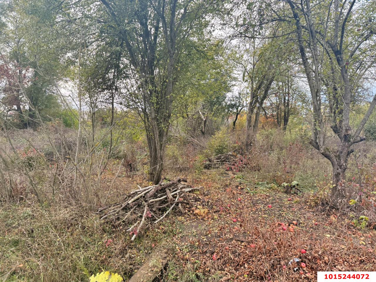 Фото №6: Участок садоводство 4 сот. - Елизаветинская, Кубань-2, ул. Ореховая, 23