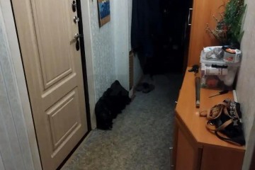 Фото №4: 2-комнатная квартира 44 м² - Краснодар, мкр. Западный внутригородской округ, ул. Фёдора Лузана, 15