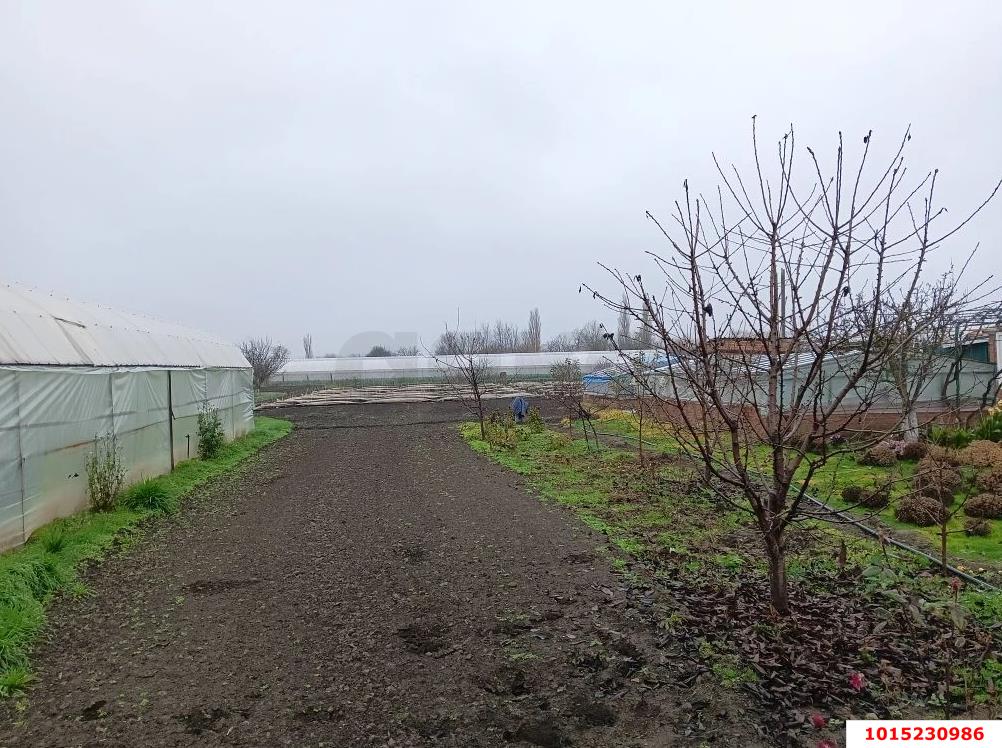 Фото №1: Земельный участок под ИЖС 20.67 сот. - Ивановская, ул. Красная, 188