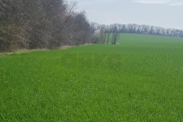 Фото №2: Коммерческая земля 11 сот. - Пригородный, мкр. Алтайский, ул. Победы