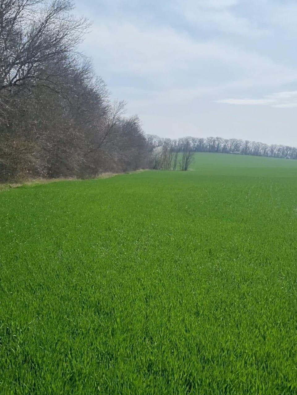 Фото №2: Коммерция 10 м² - Пригородный, Карасунский внутригородской округ, мкр. Алтайский, ул. Победы