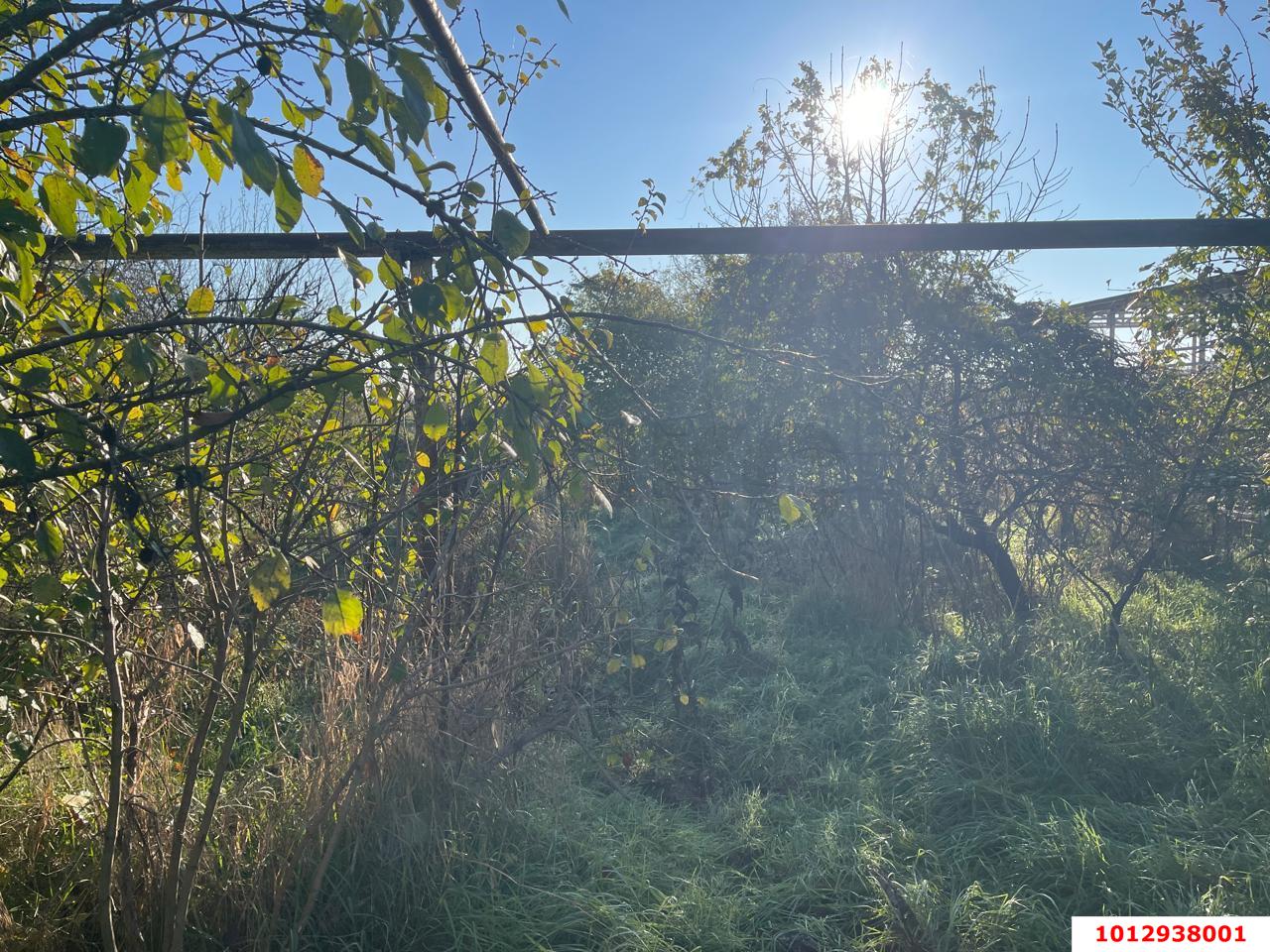 Фото №7: Дом 29 м² + 20 сот. - Суповский, ул. Ленина, 39