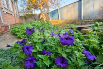 Фото №5: Дом 93 м² - Кореновск, мкр. 2-й квартал, ул. Карла Маркса