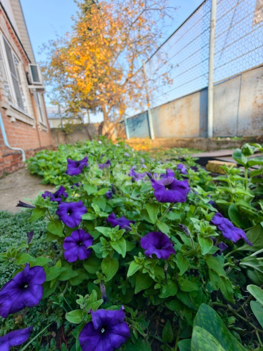 Фото №5: Дом 93 м² + 13.8 сот. - Кореновск, 2-й квартал, ул. Карла Маркса