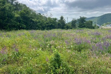 Фото №2: Участок садоводство 4.4 сот. - Кавказ, 