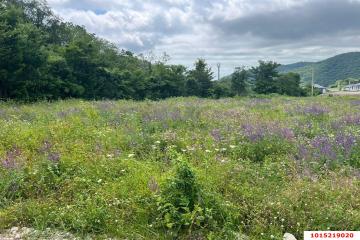 Фото №2: Земельный участок 4.4 сот. - Кавказ, 