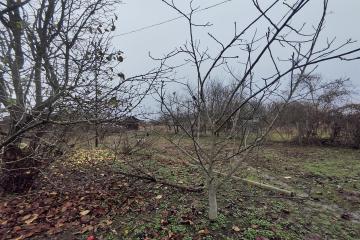 Фото №5: Земельный участок 6 сот. - Елизаветинская, ст Проектировщик, ул. Зелёная