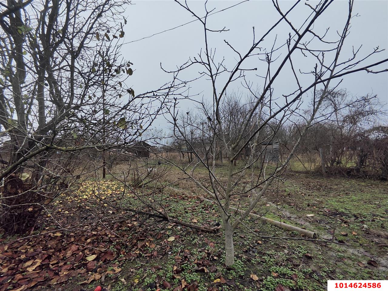 Фото №5: Участок садоводство 6 сот. - Елизаветинская, Проектировщик, ул. Зелёная