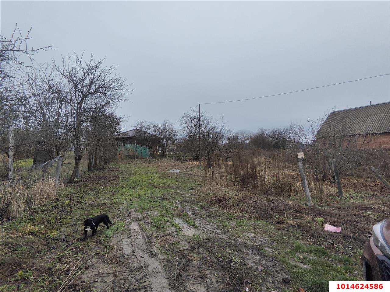 Фото №1: Участок садоводство 6 сот. - Елизаветинская, Проектировщик, ул. Зелёная