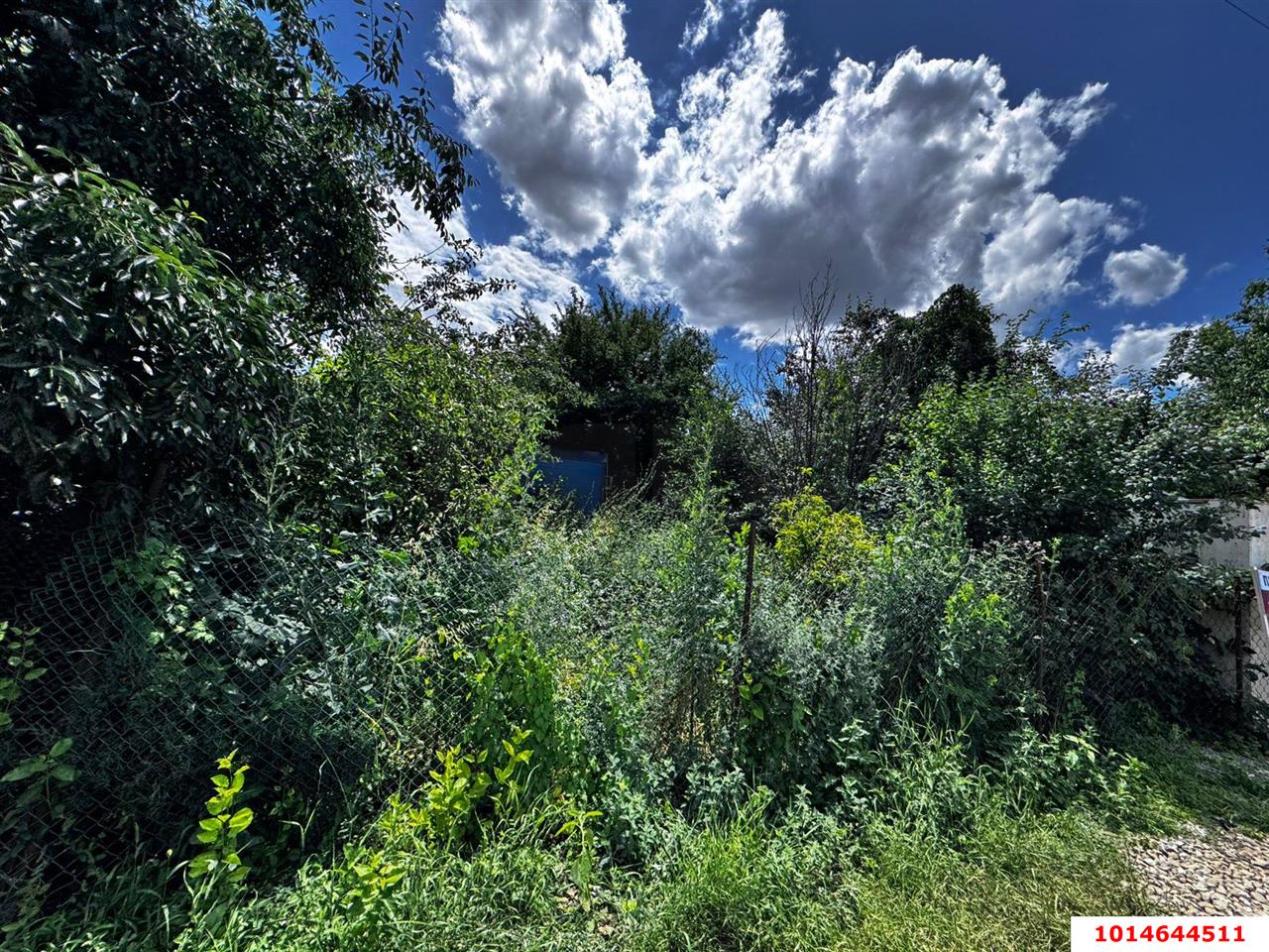 Фото №7: Участок садоводство 4.08 сот. - СНТ Северное, Прикубанский внутригородской округ, ул. Виноградная, 377