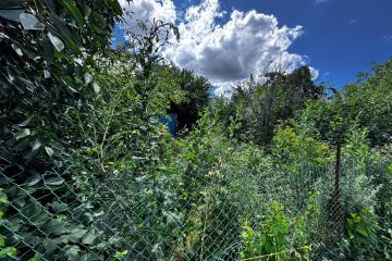 Фото №4: Земельный участок 4.08 сот. - СНТ Северное, мкр. Прикубанский внутригородской округ, ул. Виноградная, 377