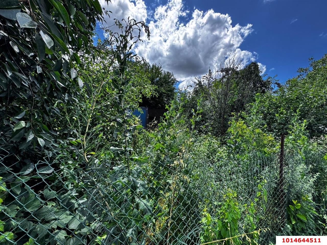 Фото №4: Земельный участок 4.08 сот. - СНТ Северное, мкр. Прикубанский внутригородской округ, ул. Виноградная, 377