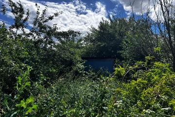 Фото №1: Земельный участок 4.08 сот. - СНТ Северное, мкр. Прикубанский внутригородской округ, ул. Виноградная, 377