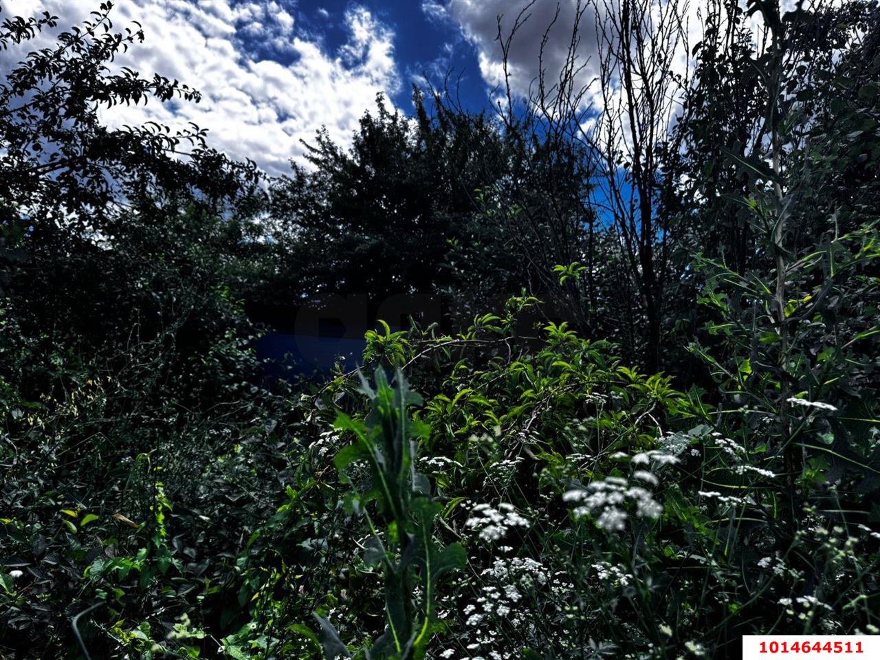 Фото №6: Земельный участок 4.08 сот. - СНТ Северное, мкр. Прикубанский внутригородской округ, ул. Виноградная, 377