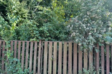 Фото №4: Участок садоводство 7.4 сот. - Знаменский, ст Краснодарсельмаш-2, ул. Ново-Припутевая