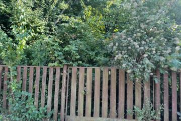 Фото №4: Земельный участок 7.4 сот. - Знаменский, ст Краснодарсельмаш-2, ул. Ново-Припутевая