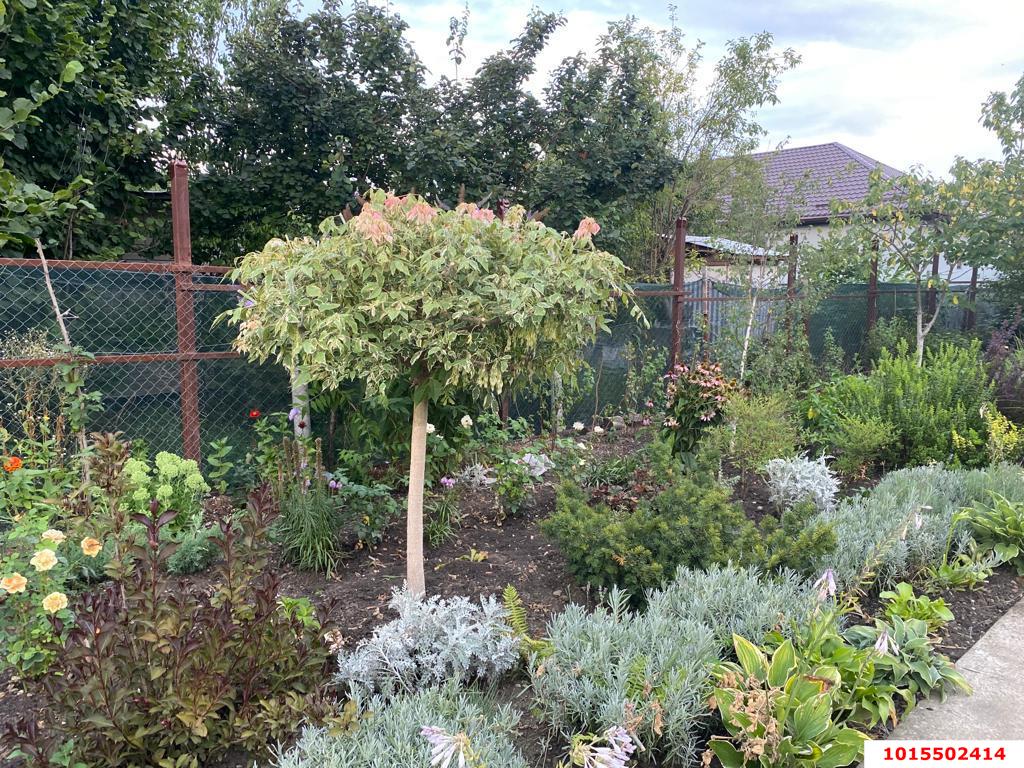 Фото №17: Дом 157 м² + 6.1 сот. - Елизаветинская, Компрессор, ул. Персиковая, 197