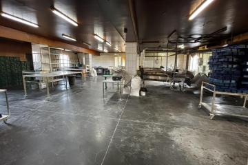 Фото №4: Коммерция 864 м² - Октябрьский, ст Тополь, ул. Центральная, 29