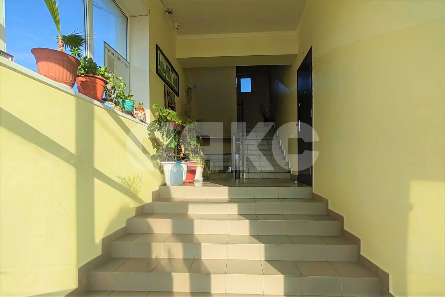 Фото №9: Студия 27 м² - Анапа, ул. Буковая, 19