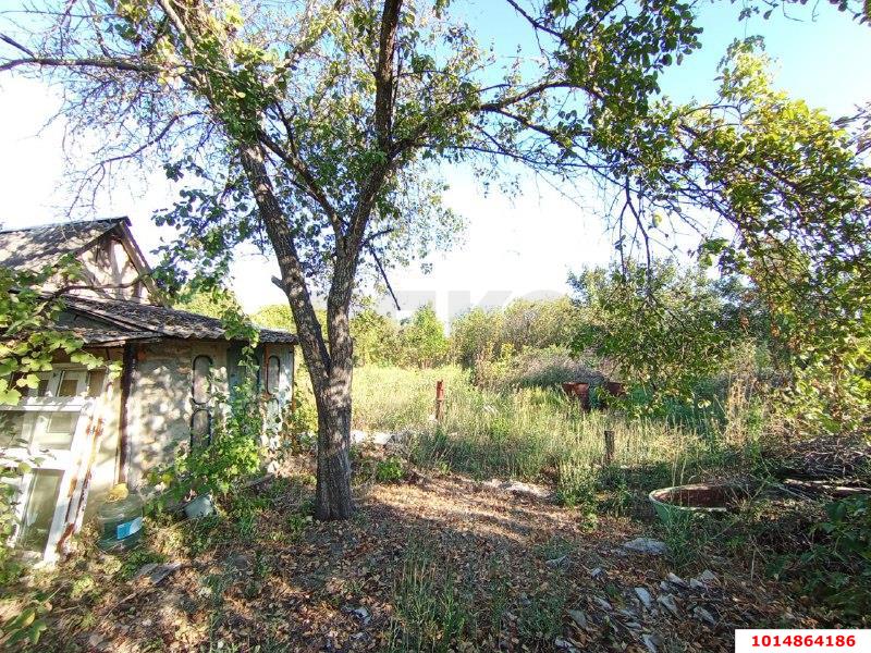 Фото №5: Личное подсобное хозяйство - Елизаветинская, Прикубанский внутригородской округ, ст Стекольщик, ул. Персиковая, 46