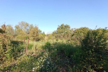 Фото №2: Участок садоводство 6 сот. - Елизаветинская, ст Стекольщик, ул. Персиковая, 46