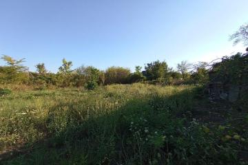 Фото №4: Земельный участок 6 сот. - Елизаветинская, ст Стекольщик, ул. Персиковая, 46