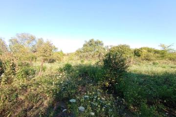 Фото №3: Земельный участок 6 сот. - Елизаветинская, ст Стекольщик, ул. Персиковая, 46