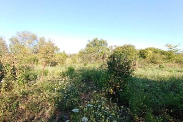 Фото №3: Участок садоводство 6 сот. - Елизаветинская, ст Стекольщик, ул. Персиковая, 46