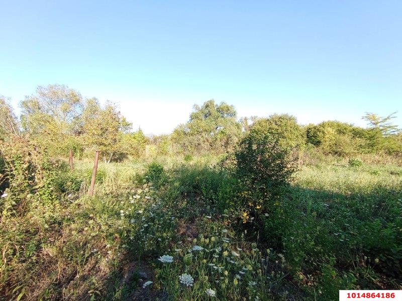 Фото №3: Участок садоводство 6 сот. - Елизаветинская, Стекольщик, ул. Персиковая, 46