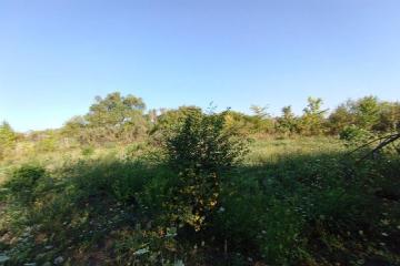 Фото №1: Земельный участок 6 сот. - Елизаветинская, ст Стекольщик, ул. Персиковая, 46