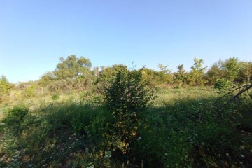 Фото №1: Участок садоводство 6 сот. - Елизаветинская, ст Стекольщик, ул. Персиковая, 46