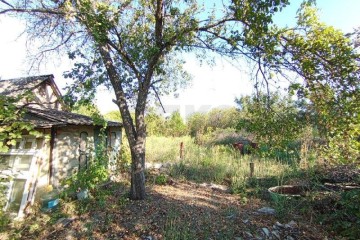 Фото №5: Участок садоводство 6 сот. - Елизаветинская, ст Стекольщик, ул. Персиковая, 46