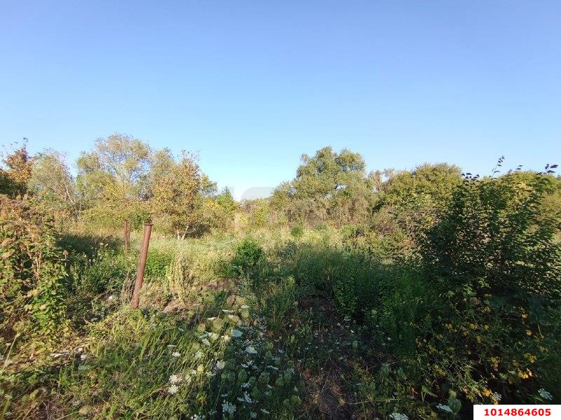 Фото №3: Личное подсобное хозяйство - Елизаветинская, Прикубанский внутригородской округ, ст Стекольщик, ул. Персиковая, 31