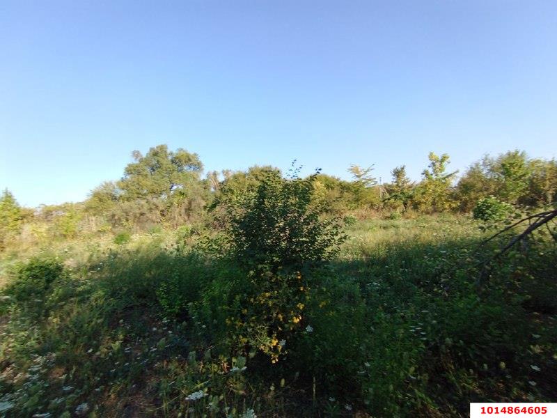 Фото №2: Участок садоводство 7.5 сот. - Елизаветинская, Стекольщик, ул. Персиковая, 31