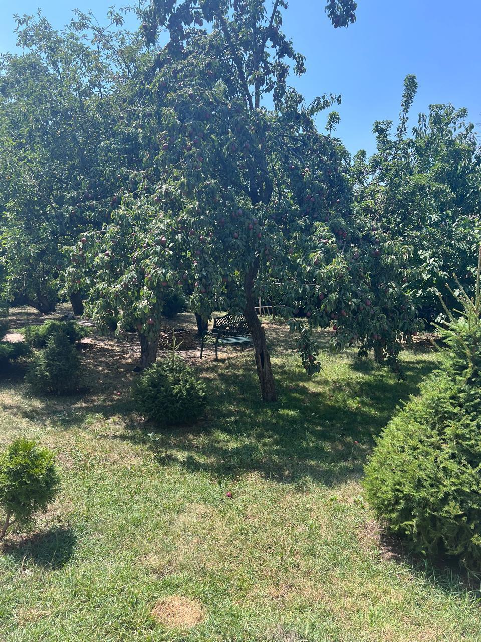 Фото №12: Дом 307 м² + 5.5 сот. - Знаменский, мкр. Карасунский внутригородской округ, пер. Первомайский, 5