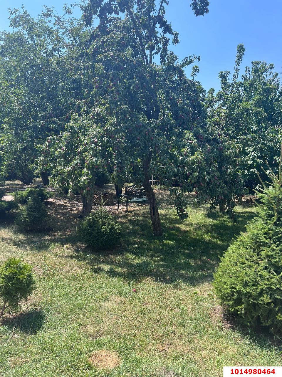 Фото №5: Дом 307 м² + 5.5 сот. - Знаменский, Карасунский внутригородской округ, пер. Первомайский, 5