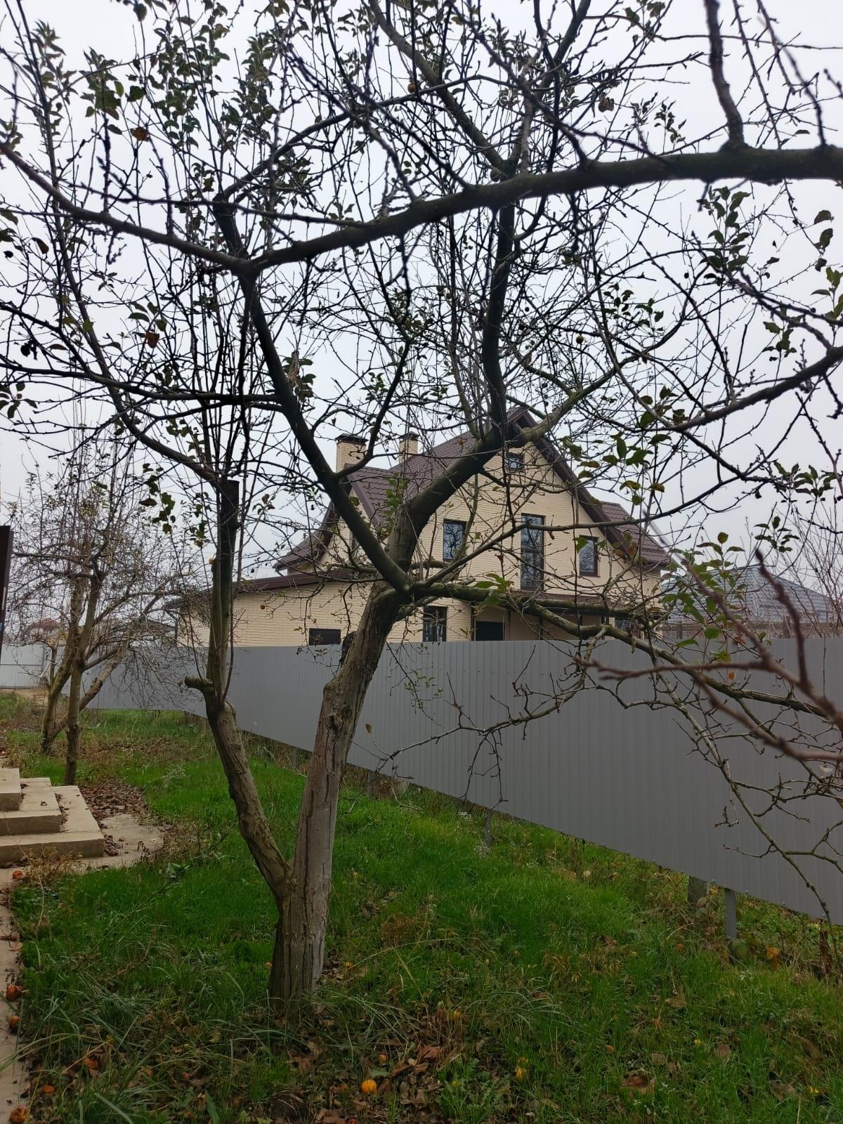 Фото №8: Дом 77 м² + 4 сот. - СНТ Победитель, мкр. Прикубанский внутригородской округ, ул. Тимошенко