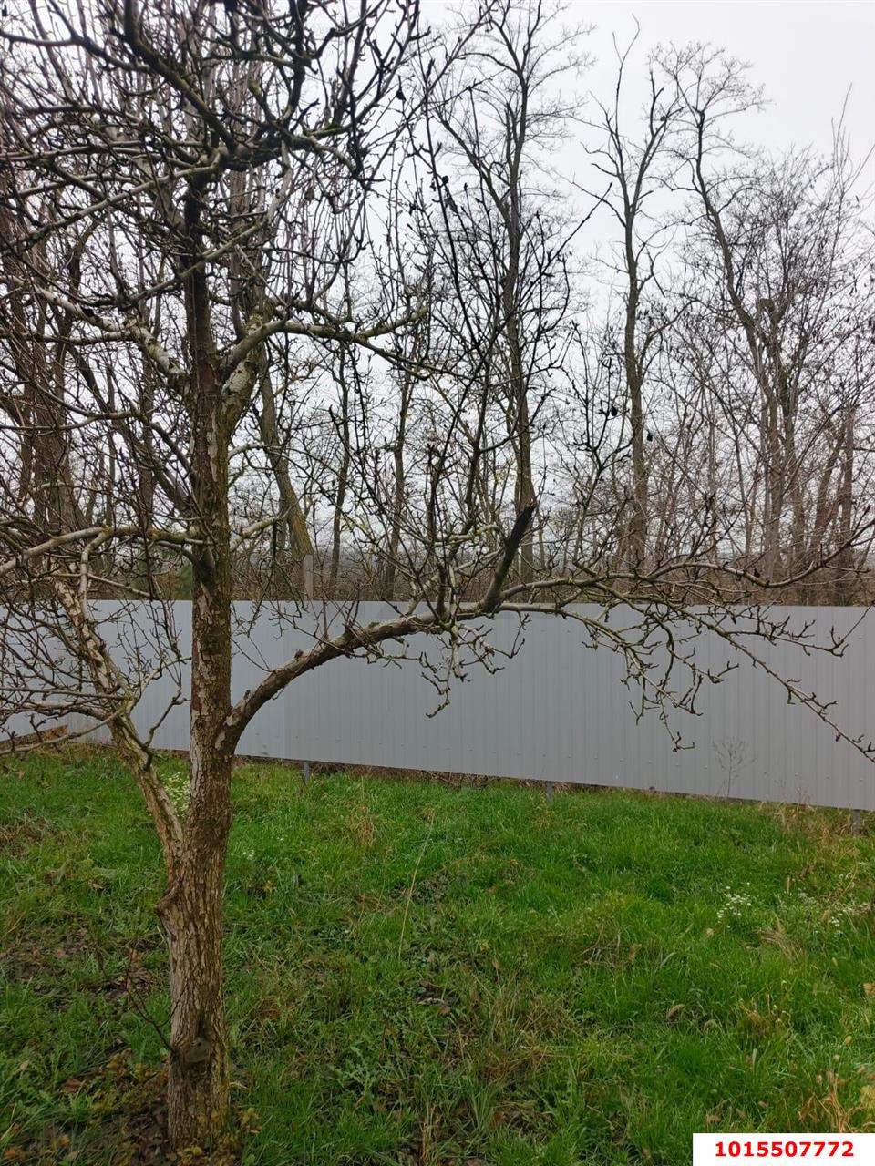 Фото №7: Дом 77 м² + 4 сот. - СНТ Победитель, Прикубанский внутригородской округ, ул. Тимошенко