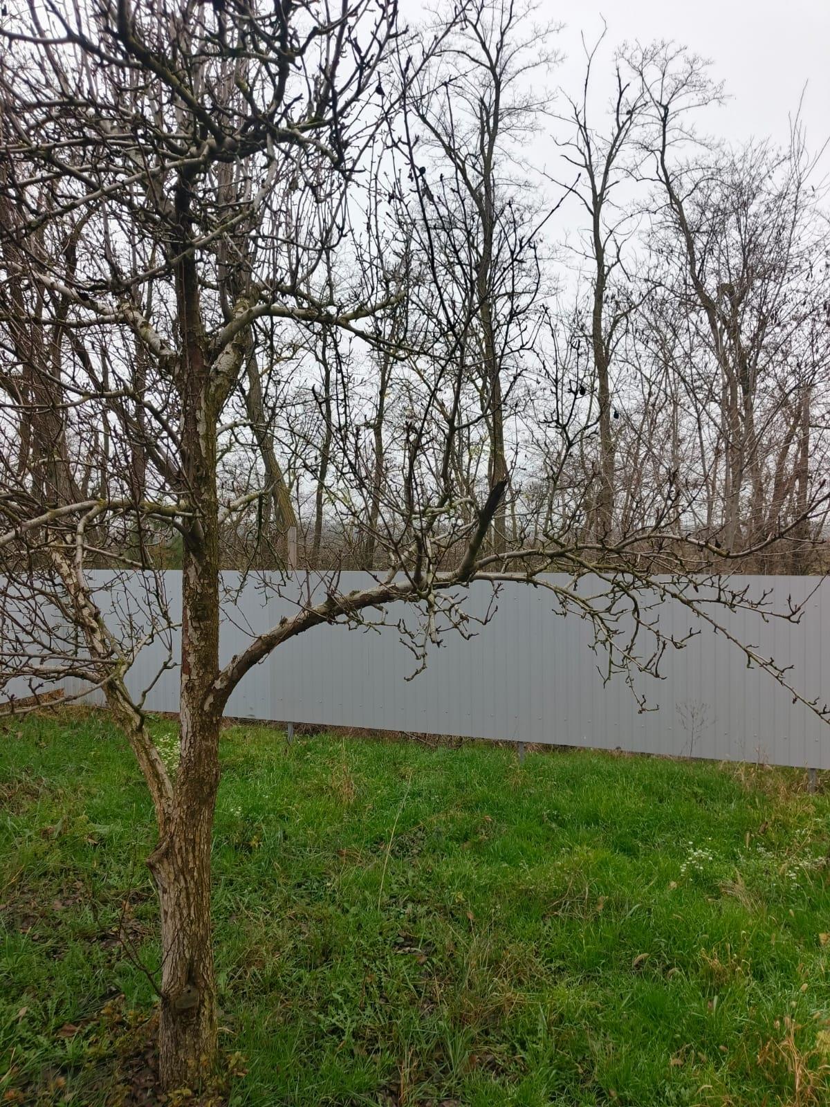 Фото №6: Дом 77 м² + 4 сот. - СНТ Победитель, мкр. Прикубанский внутригородской округ, ул. Тимошенко