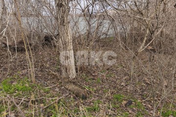 Фото №5: Земельный участок под ИЖС - Мариуполь, п. Горький, ул. Кизирова