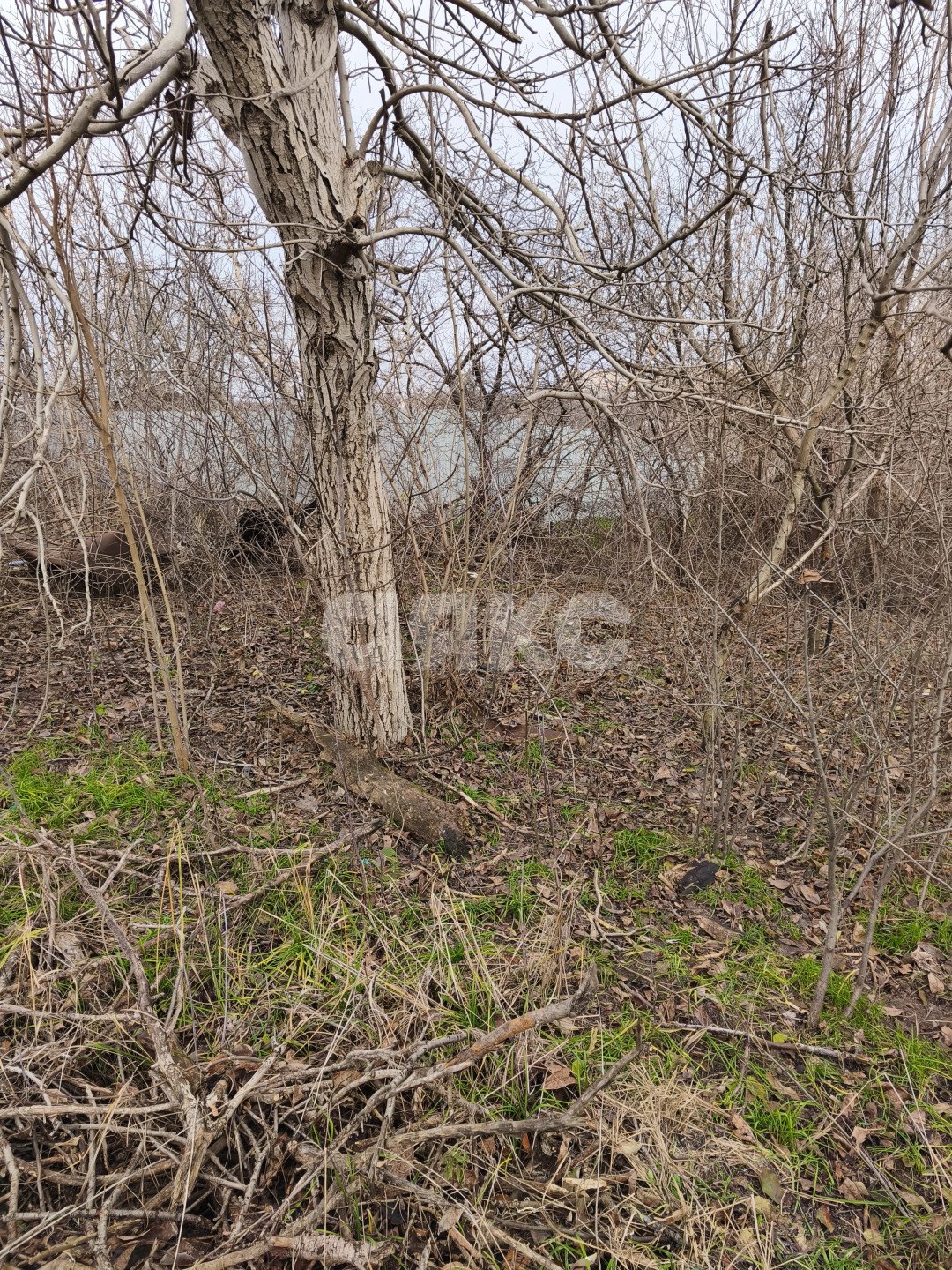 Фото №5: Земельный участок под ИЖС 5.82 сот. - Мариуполь, Горький, ул. Кизирова