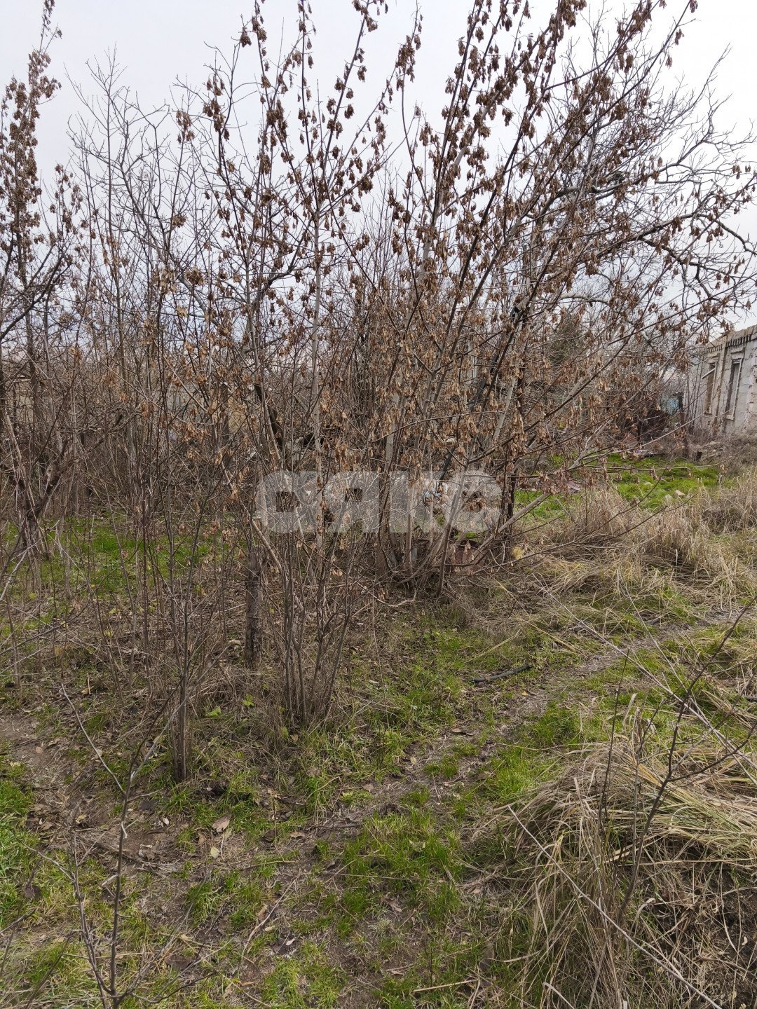 Фото №4: Земельный участок под ИЖС 5.82 сот. - Мариуполь, Горький, ул. Кизирова