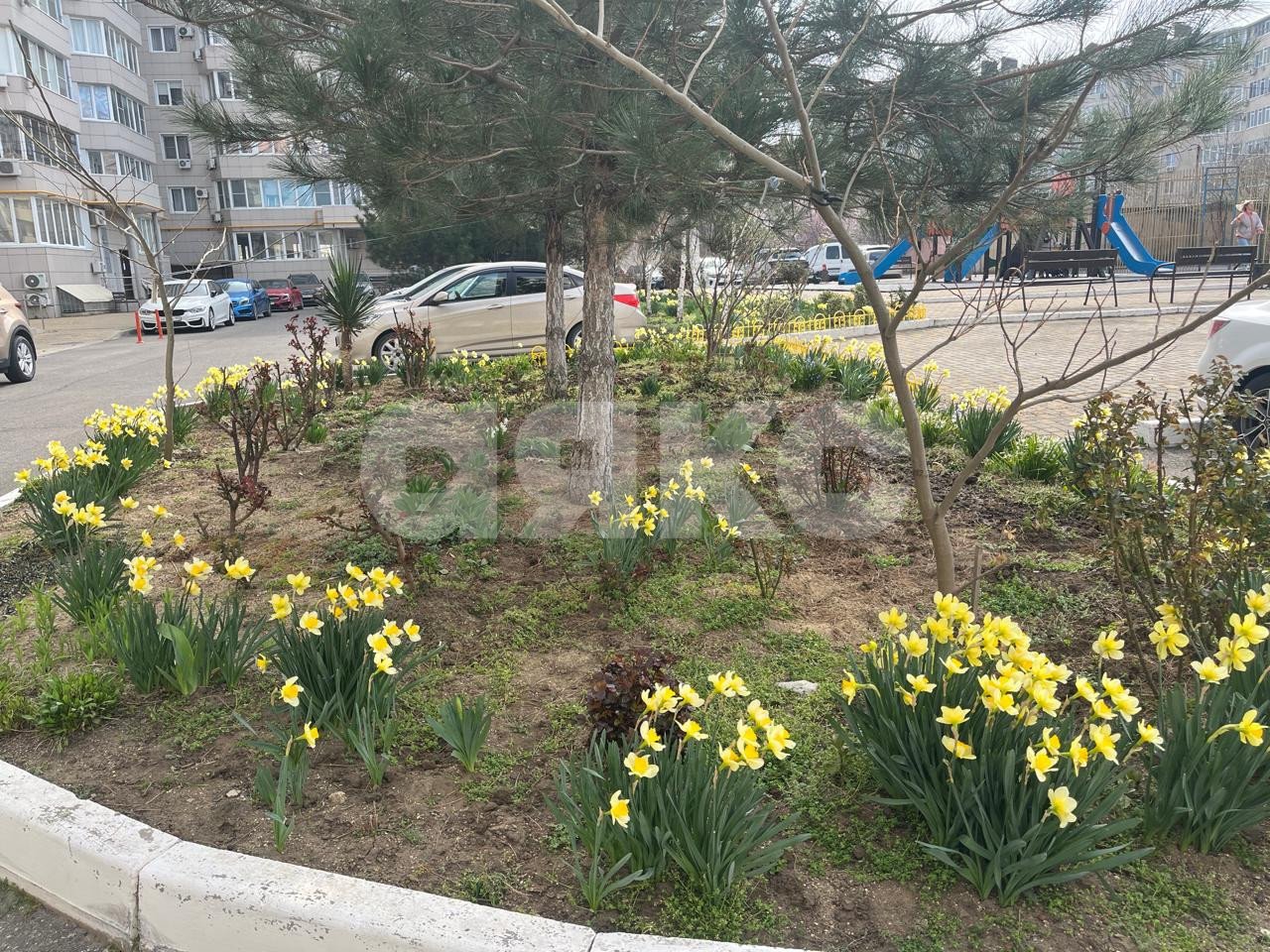 Фото №25: 2-комнатная квартира 77 м² - Анапа, 3А, ул. Владимирская, 120