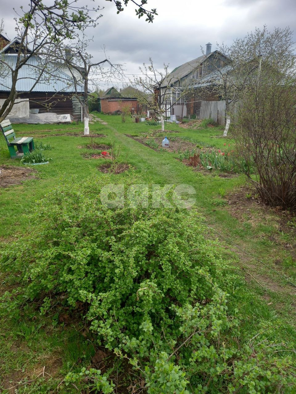 Фото №6: Личное подсобное хозяйство 19 сот. - Шевёлкино, 23