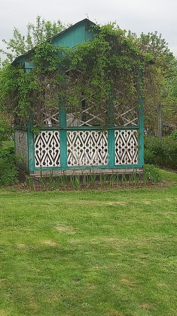 Фото №5: Личное подсобное хозяйство 19 сот. - Шевёлкино, 23