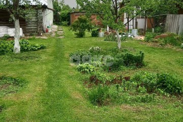 Фото №3: Личное подсобное хозяйство - Шевёлкино, 23